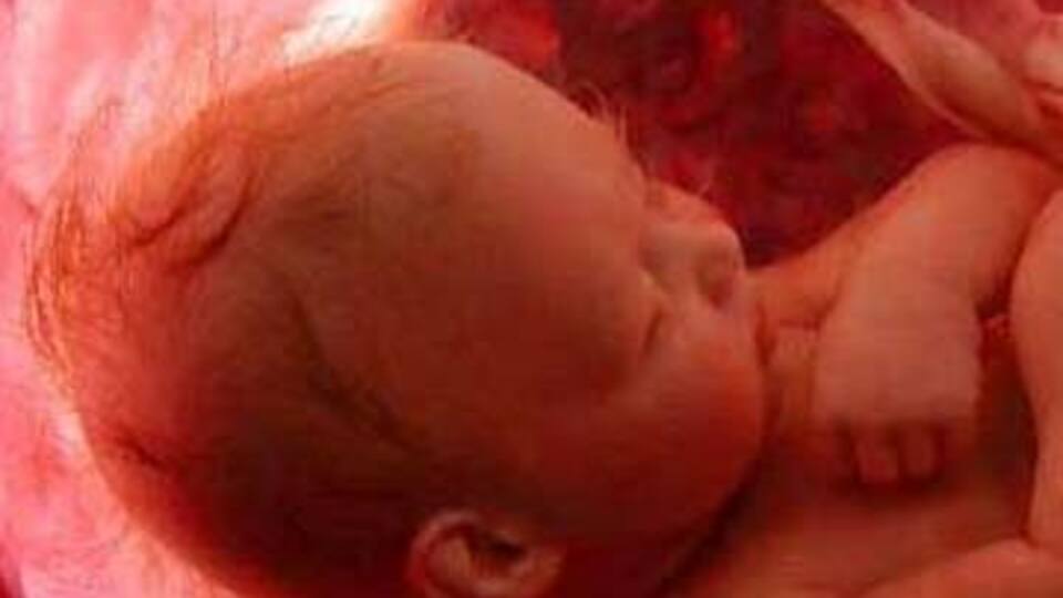 Anne karnındaki hayati sıvı