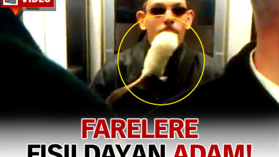 Farelere fısıldayan adam!