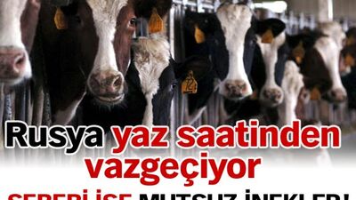 Rusya yaz saatinden vazgeçiyor!