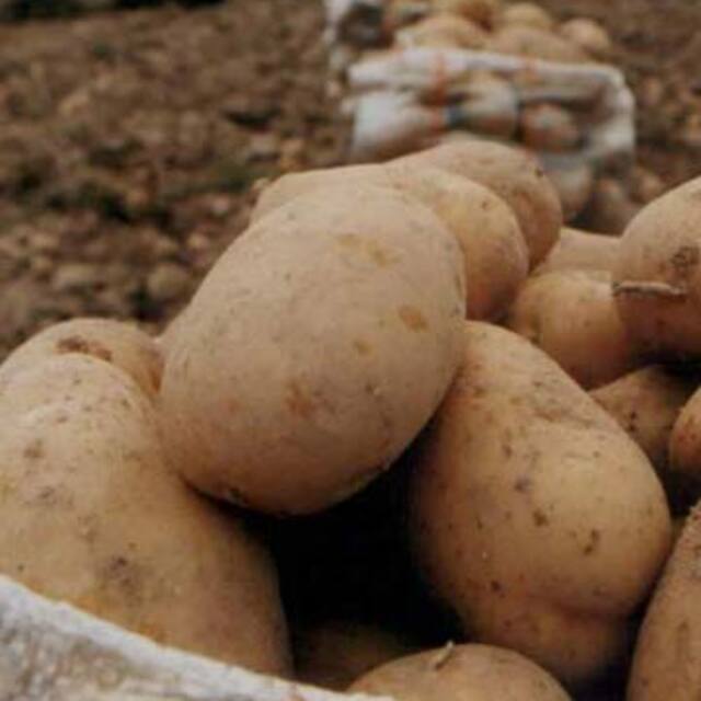 Patates, havuç yerken bile radyasyon alıyoruz!