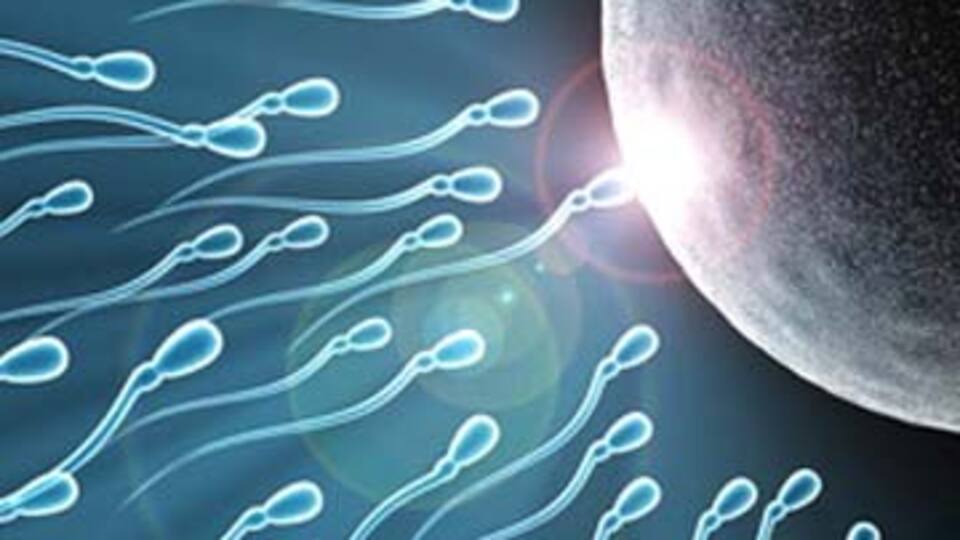 Testisin dışında sperm ürettiler!