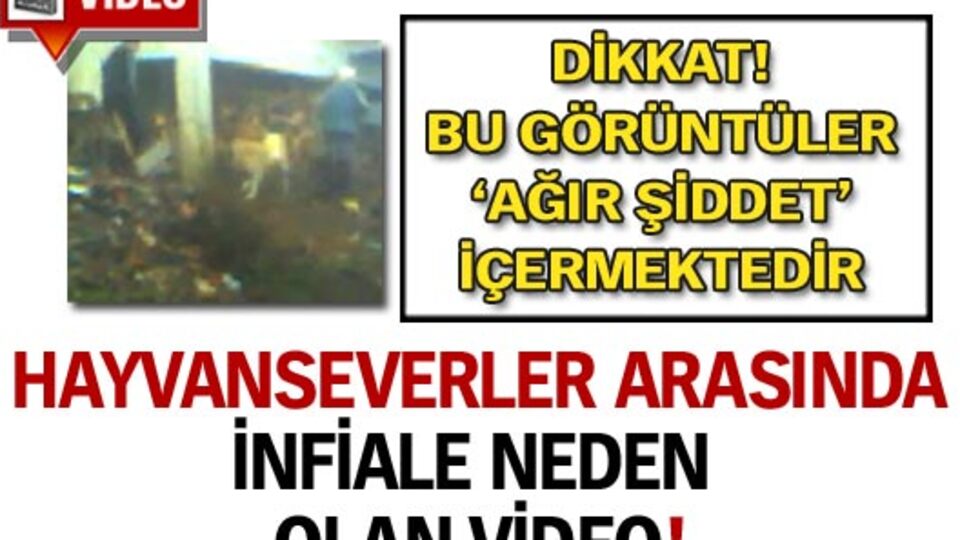 Hayvanseverler arasında infiale neden olan o video!