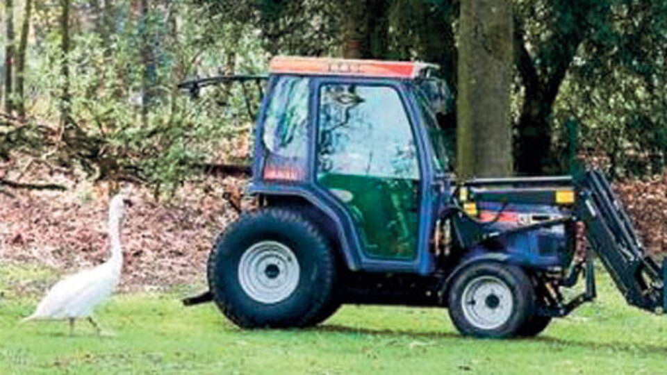 Kuğu traktöre âşık oldu