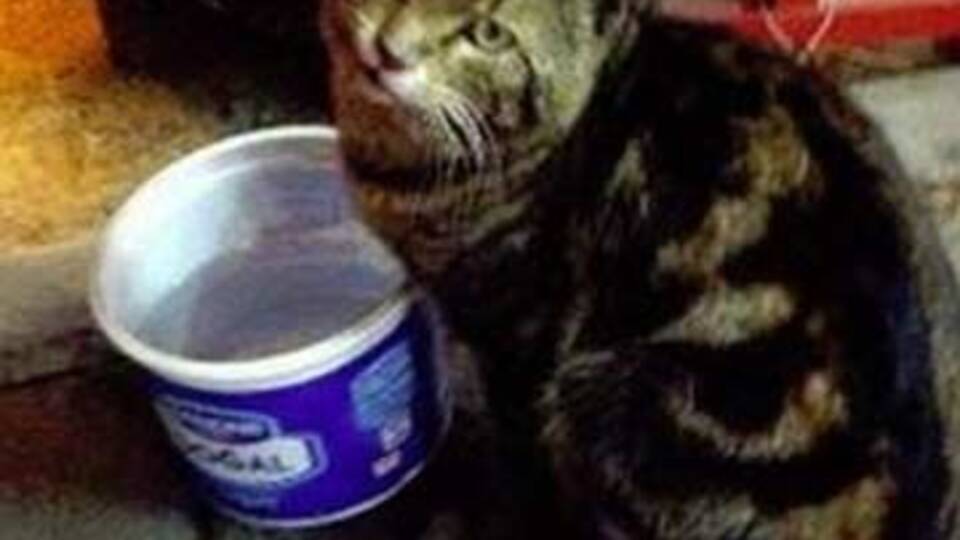 'Yamuk'un katili yargılanıyor