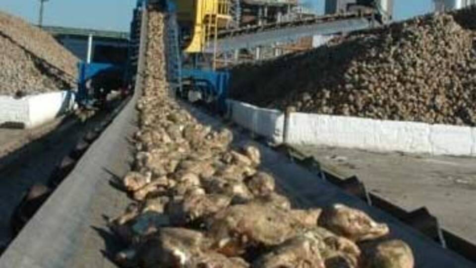 Pancarcılar isyanda!