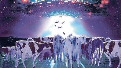 Şüpheli: Uzaylı - Maktul: İnek - GALERİ