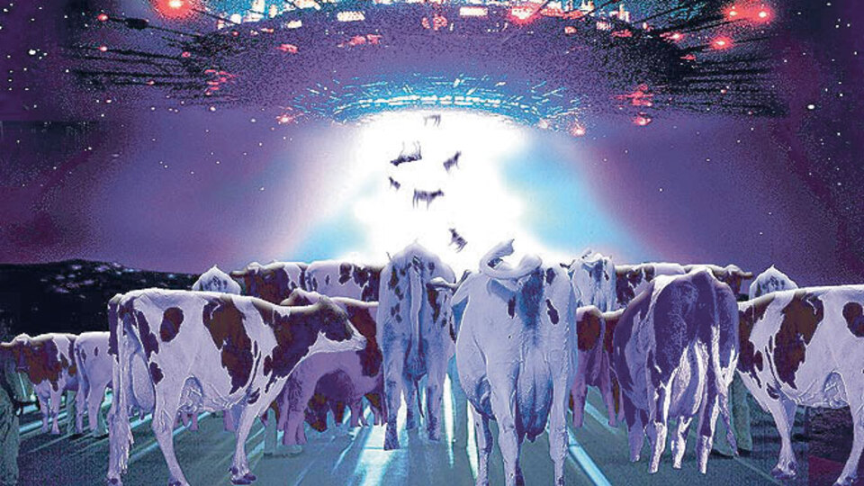 Şüpheli: Uzaylı - Maktul: İnek - GALERİ