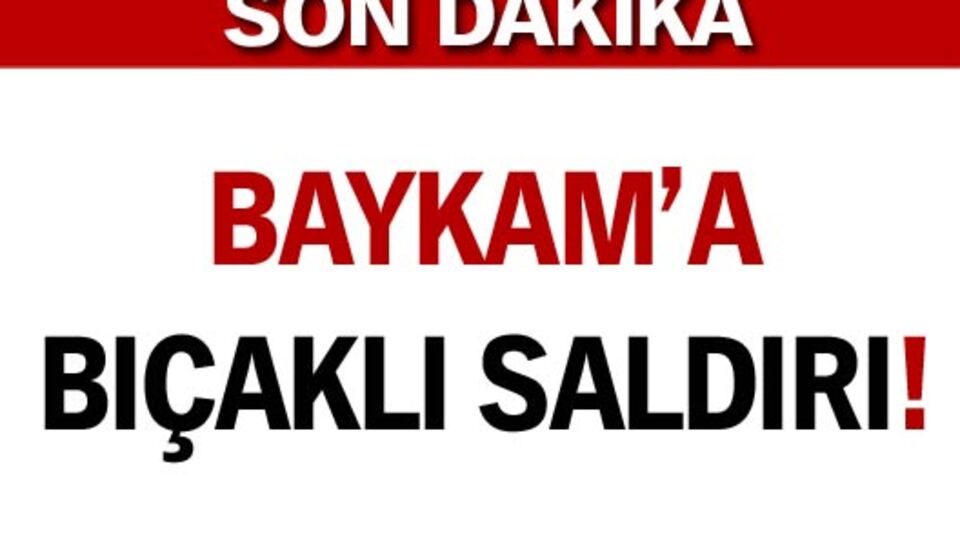 Bedri Baykam'a bıçaklı saldırı!