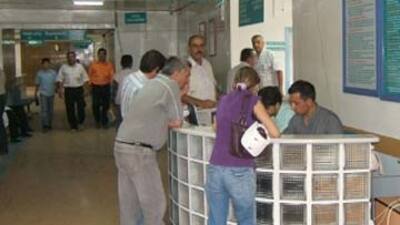 Hastanelere uluslararası standart!