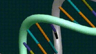 Ve karşınızda DNA Günü!