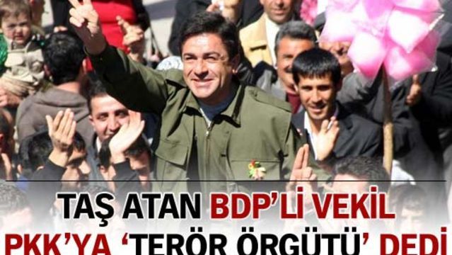 Taş atan BDP'li vekil, PKK'ya 'terör örgütü' dedi