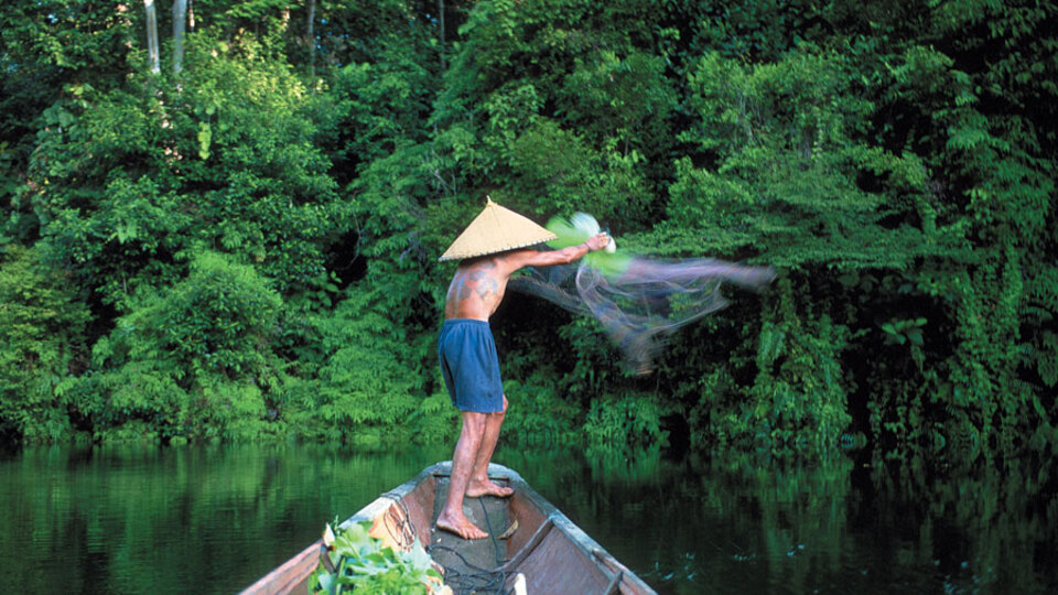 Borneo'nun yağmur ormanları tehlikede