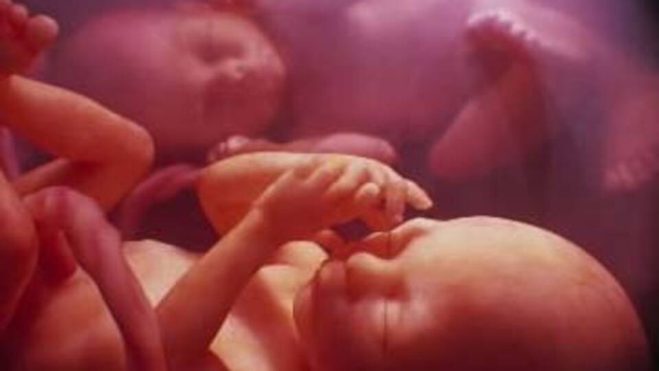 Tüp bebekte son 10 yılda iyileşme yok