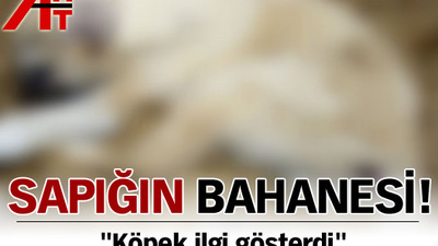 Köpeğe tecavüz eden sapığın bahanesi tüyler ürpertti!