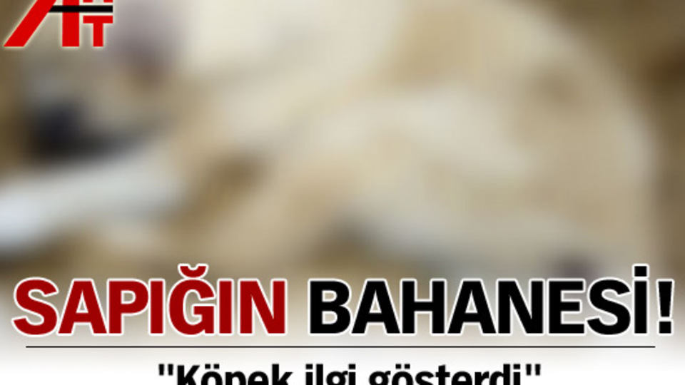Köpeğe tecavüz eden sapığın bahanesi tüyler ürpertti!