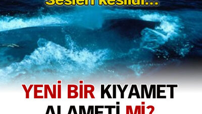 Sonunda bu da oldu...