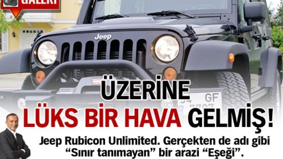 Sınır tanımayan bir arazi eşeği!