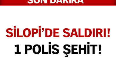 Silopi'de polise saldırı
