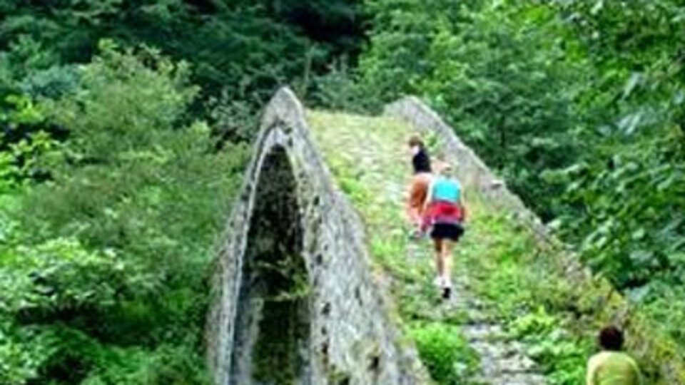 Doğu Karadeniz'de alternatif arayışı