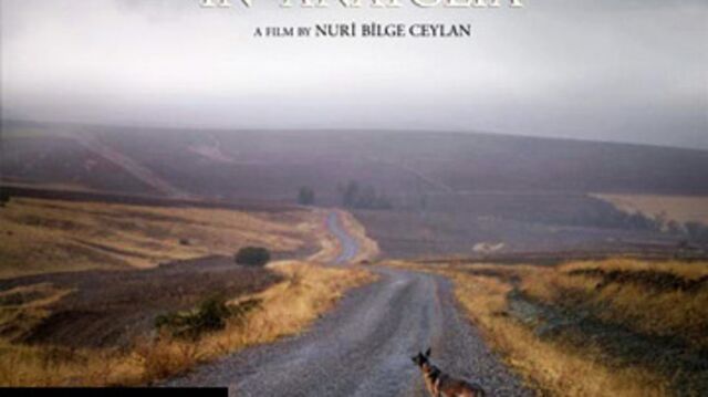Nuri Bilge Ceylan 'Altın Palmiye'ye yakın