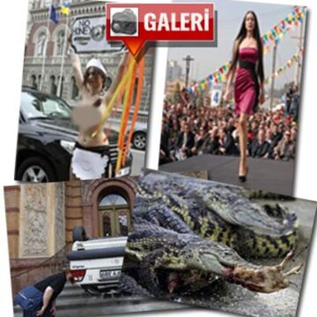 Günün en ilginç fotoğrafları!