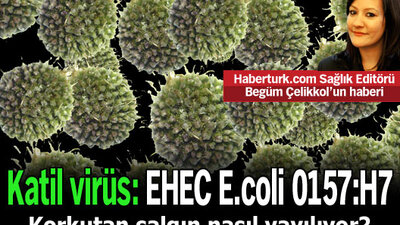 Korkutan salgın nasıl yayılıyor?