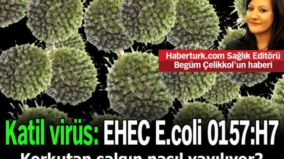 Korkutan salgın nasıl yayılıyor?