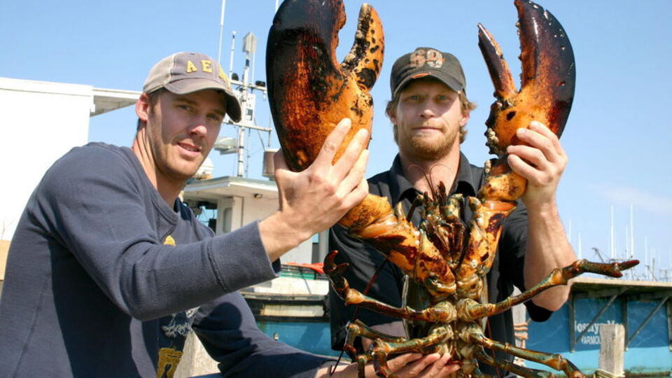 Ne ıstakozu bildiğin canavar!