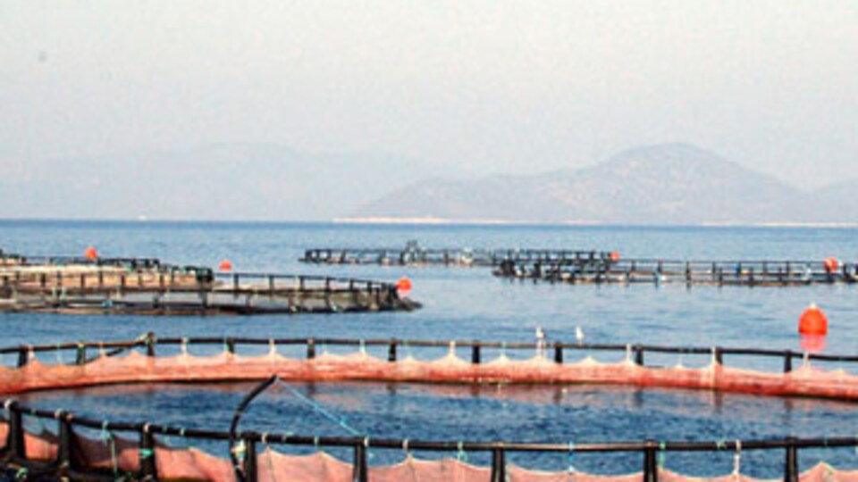 Denizi kiralamak ucuzluyor!