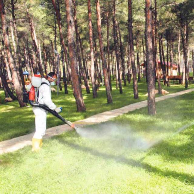 Kene timleri mesaiye başladı!