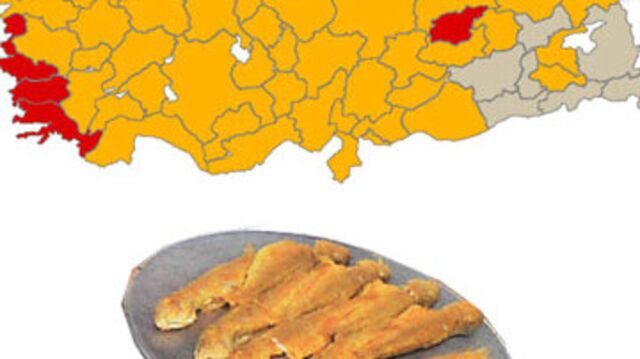AK Parti sahillere inmesini 400 kilo balıkla kutladı