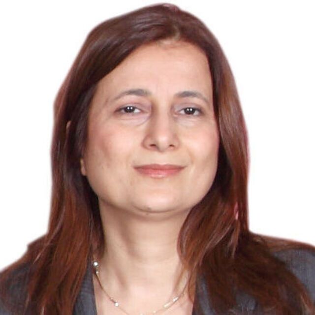 Adana'da 27 bin geçersiz oya itiraz