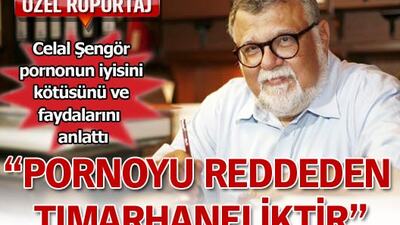 'Pornoyu reddeden, tımarhaneliktir'