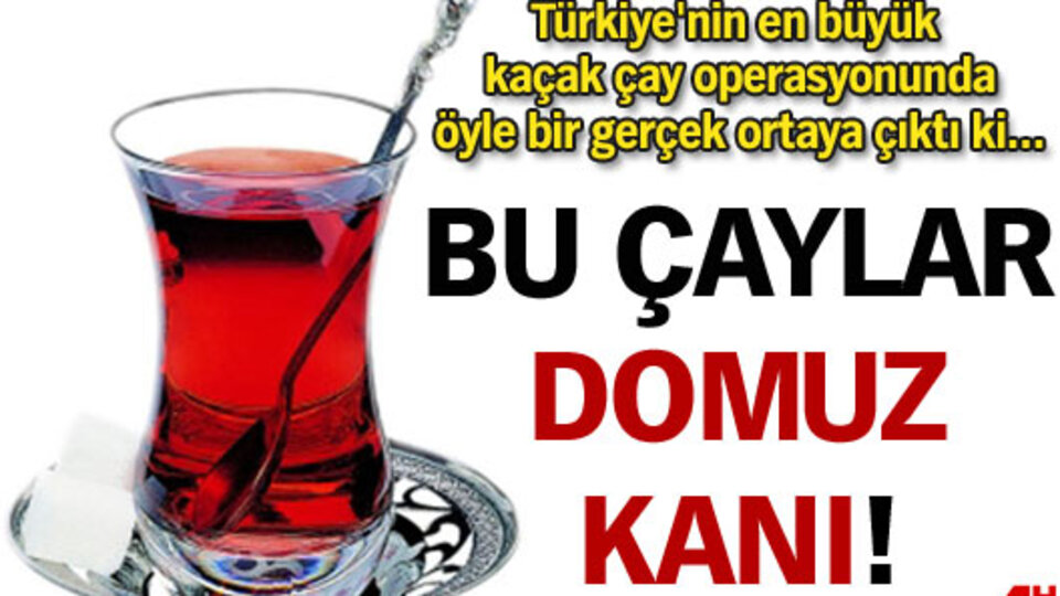 Bu çaylar domuz kanı!