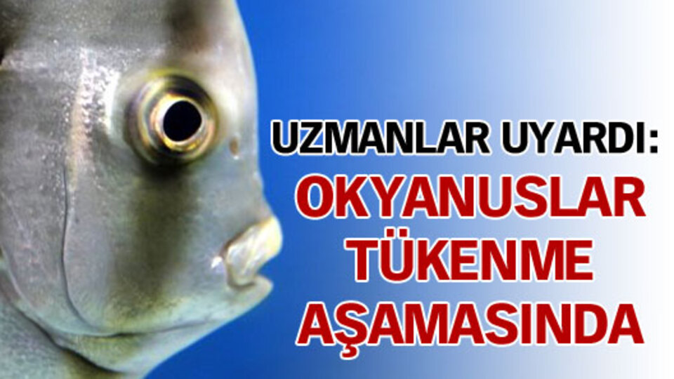 Okyanuslar "tükenme aşamasına" doğru gidiyor