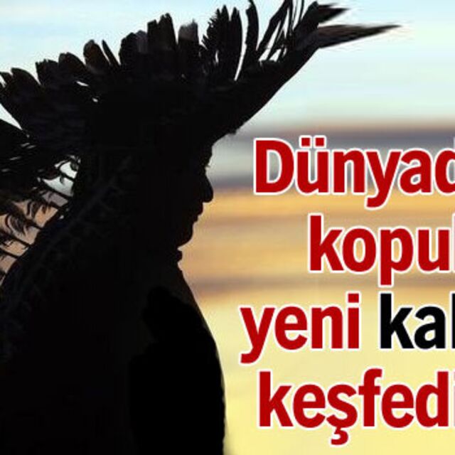 Yeni bir kabile keşfedildi