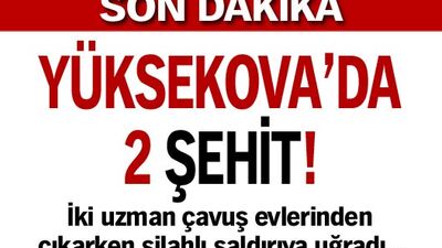 Yüksekova'da 2 şehit!