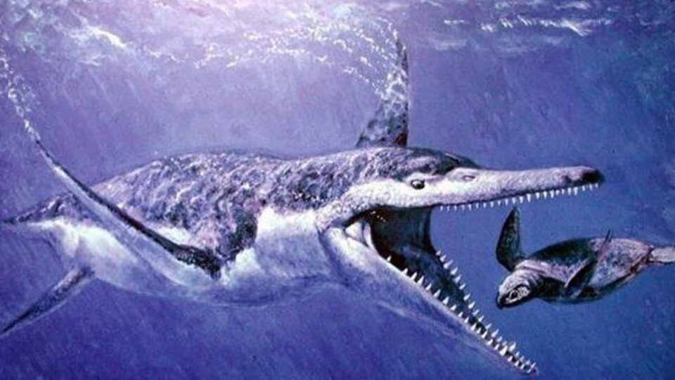 Dünyanın en korkunç yırtıcısı