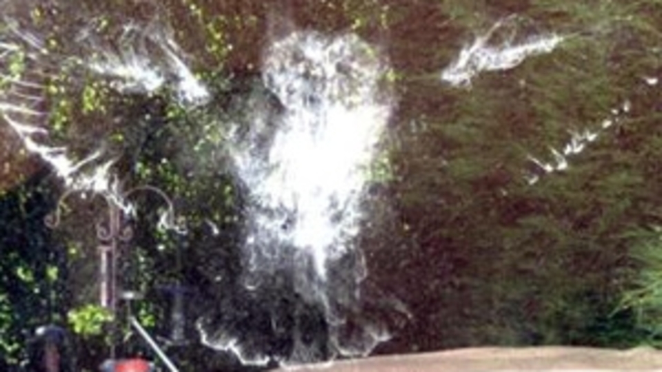 Şaşkın baykuş iz bıraktı