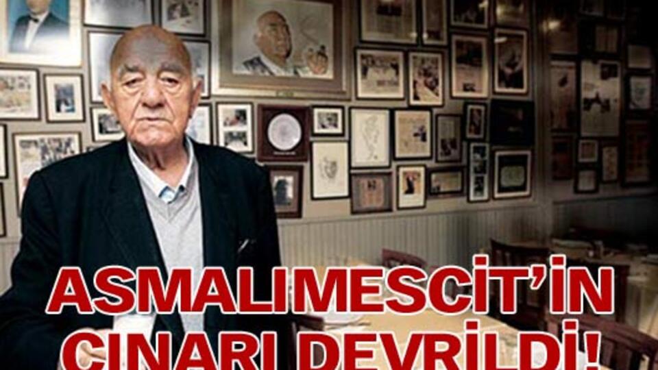 Asmalımescit'in çınarı devrildi