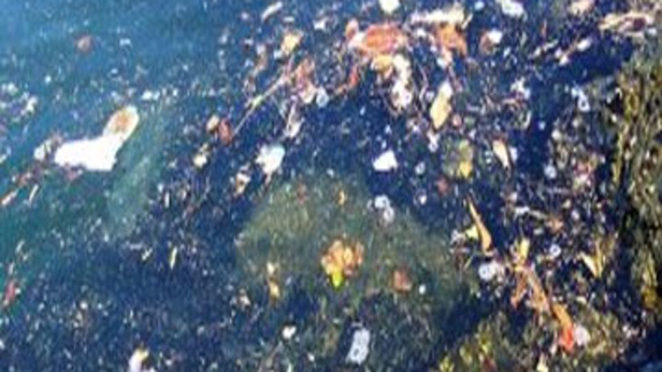 16 plajda deniz kirli çıktı!