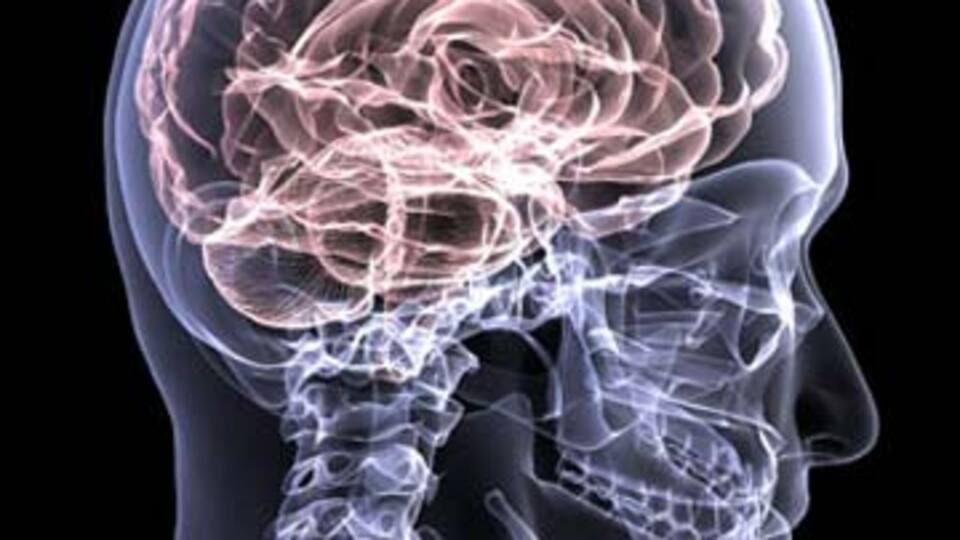 Yaş büyüdükçe beyin küçülüyor!