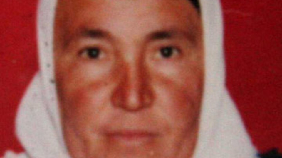 Barışmaya gittiği kayınvalidesini öldürdü