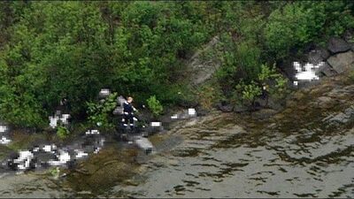 Çeteler, 'sarı şeytan'ı öldürme yarışına girdi