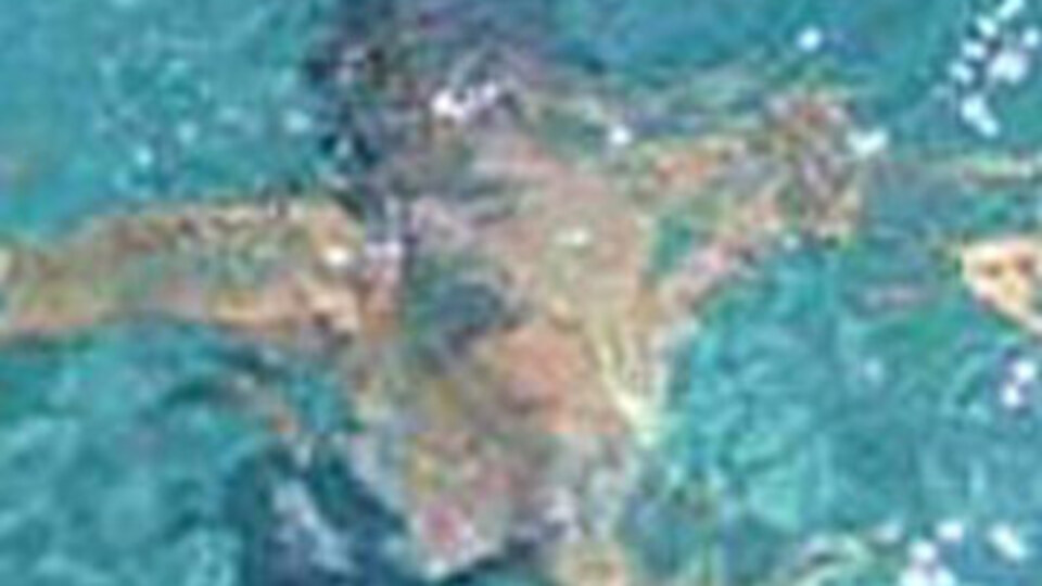 Oğlunu kurtarmak isterken...