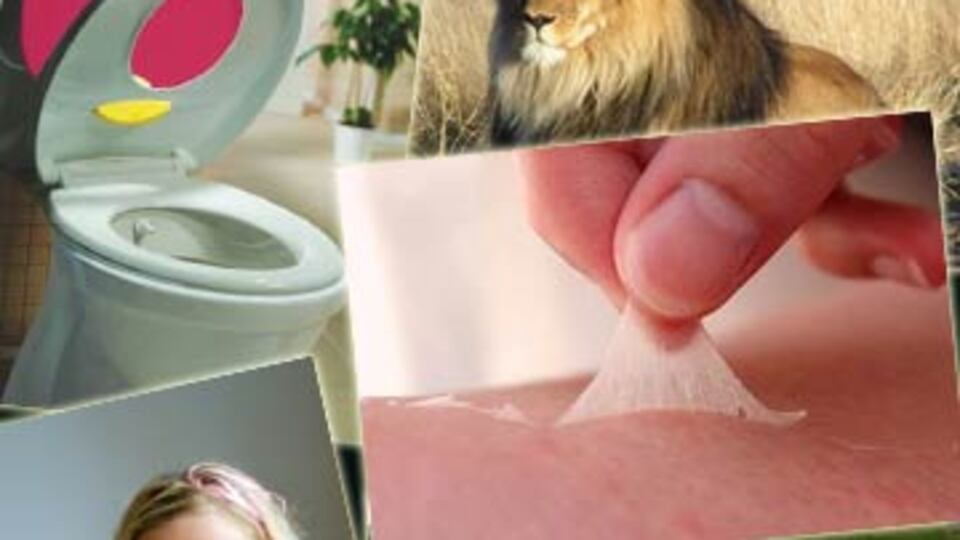 Çok az bilinen şaşırtıcı gerçekler! GALERİ