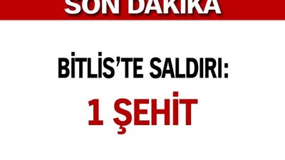Bitlis'te hain saldırı