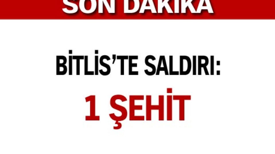 Bitlis'te hain saldırı