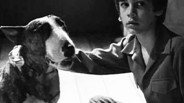 27 yıl sonra yeniden 'Frankenweenie'