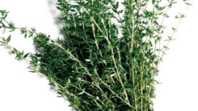 Kekikten yüzde yüz etkili sinek ilacı